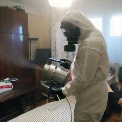 Дезинфекция от клопов в Ядрине