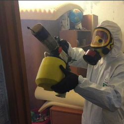 Уничтожение клопов в квартире. Ядрин